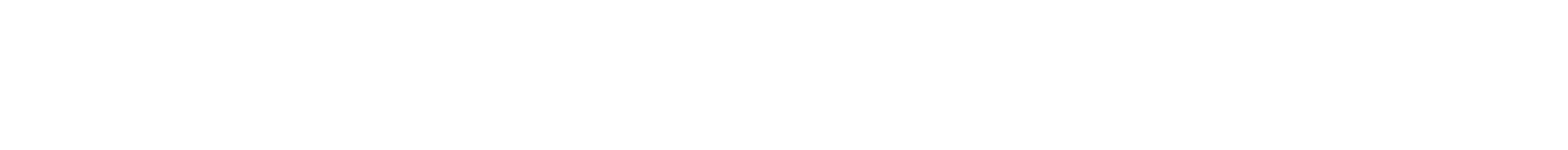 Expedition Services Logo